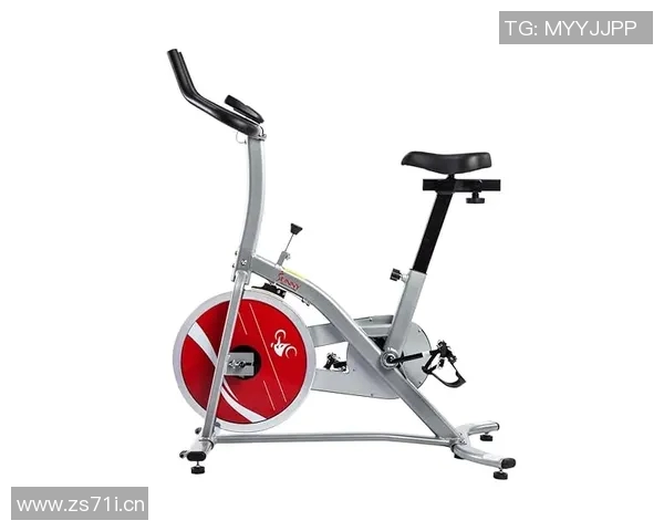 类似自行车的健身器材：推荐几款适合室内使用的健身器材